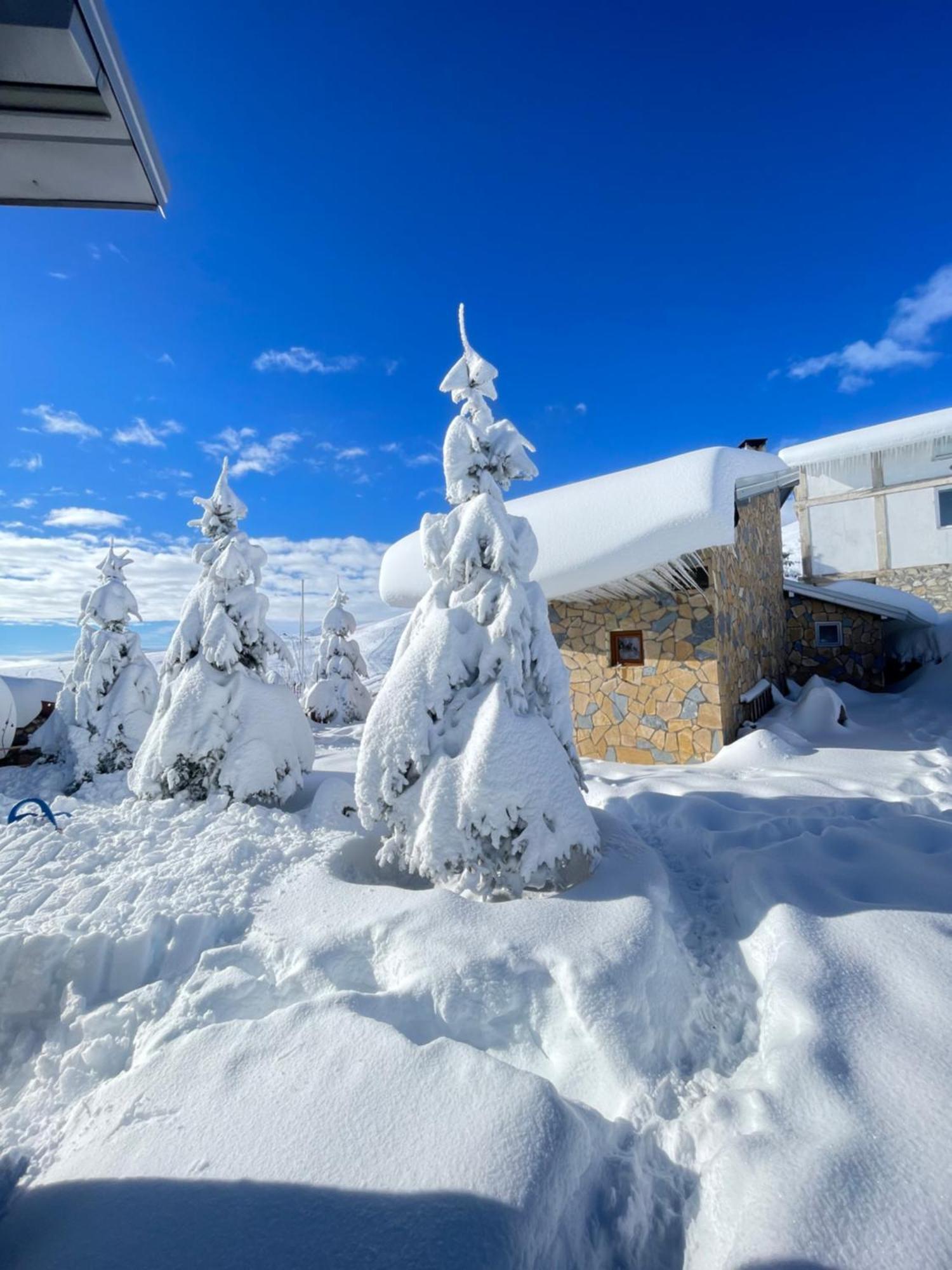 Villa 80 Kodra E Diellit เทโทโว ภายนอก รูปภาพ